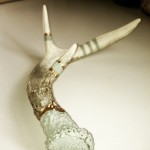 Sage and Gold Antler